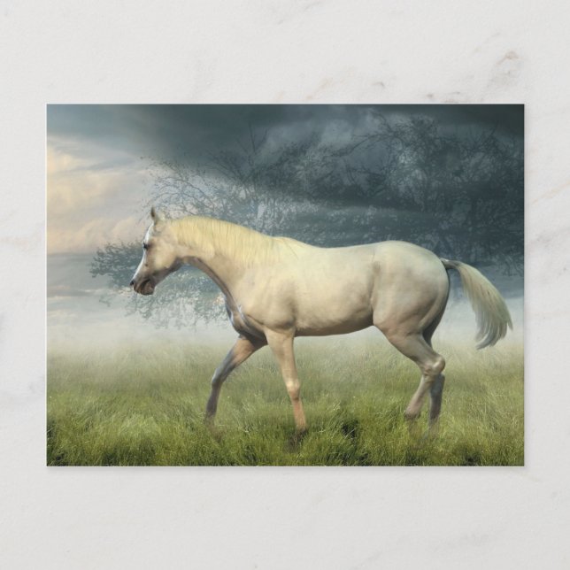 Pferdepostkarte Postkarte (Vorderseite)