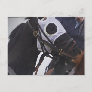 Pferdepostkarte Postkarte
