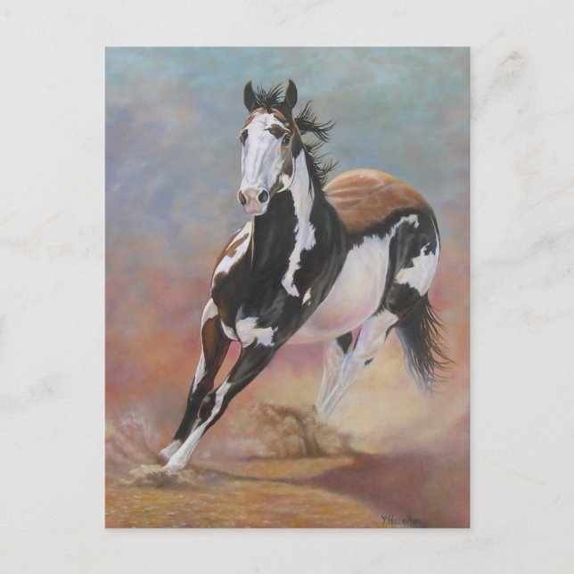 Pferdepostkarte Postkarte (Vorderseite)