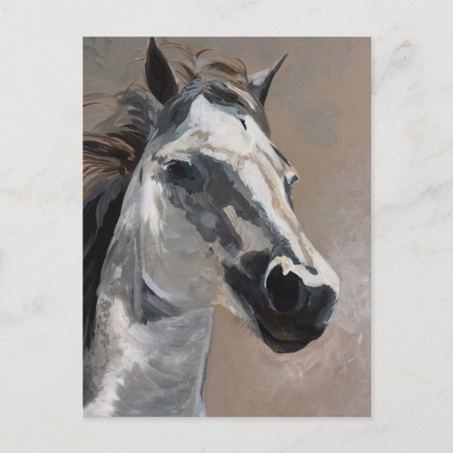 Pferdepostkarten Postkarte (Vorderseite)
