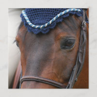 Pferdeprofil-Einladungen