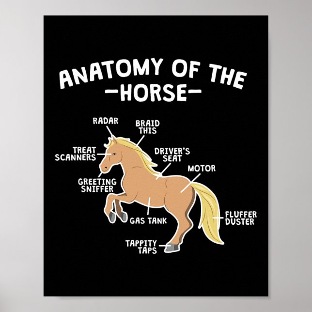 Pferdepun-Anatomie von Pferderücken Poster (Vorne)