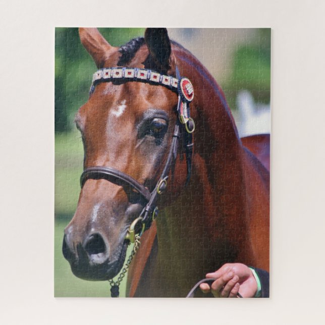 Pferderasse Arabische Rasse Puzzle (Vertikal)