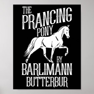 Pferdereiten Pony Poster