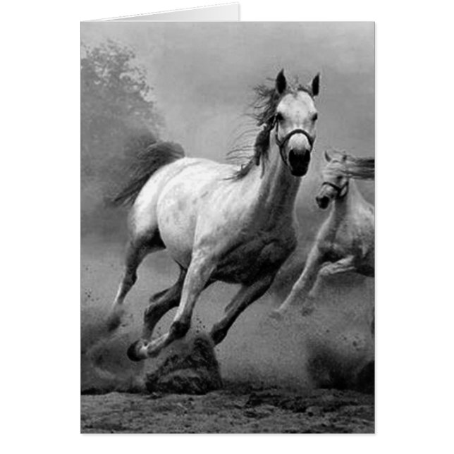 Pferderennen (Vorne)