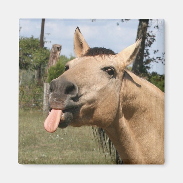 Pferderennen Magnet (Vorne)