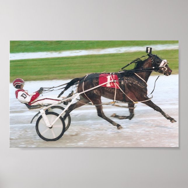 Pferderennen Poster (Vorne)