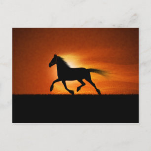 Pferderennen Postkarte