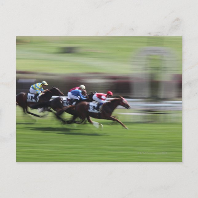 Pferderennen Postkarte (Vorderseite)