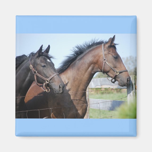 Pferderennstrecke Magnet (Vorne)