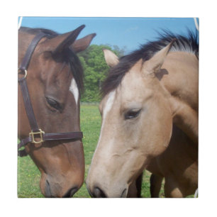 PferdeRomance Fliese