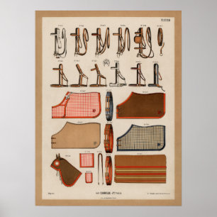 Pferderücke Poster