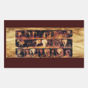 Pferderücken, Pergament Rechteckiger Aufkleber