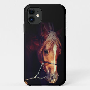 Pferdesammlung. Roter Kotkasten aus Arabinen Case-Mate iPhone Hülle