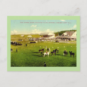 Pferdeschau, Spring Lake, New Jersey Vintage Postkarte