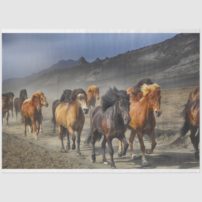 Pferdeschildpapier Seidenpapier (Vorderseite)