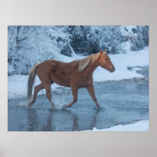 Pferdeschlittenfahrt im Winter auf Hideout Ranc Poster