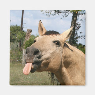 Pferdeschneemagnet Magnet