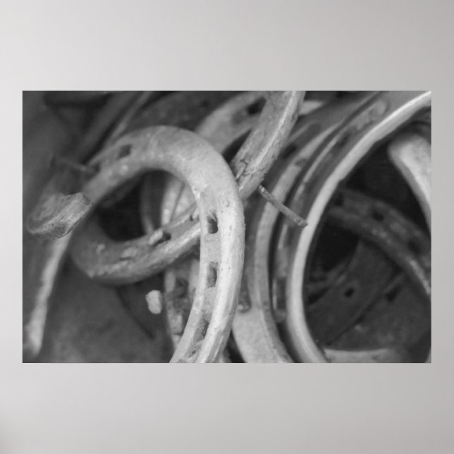 Pferdeschuhdrucke Poster (Vorne)