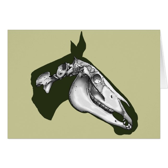 Pferdeselett (Vorderseite (Horizontal))