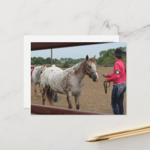 Pferdeshow-Aufmachung Spotted Pony of America Postkarte