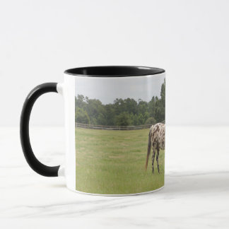 PferdeTasse Tasse