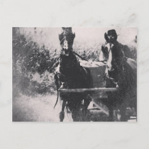 Pferdeteam #Pferde #amish Postkarte