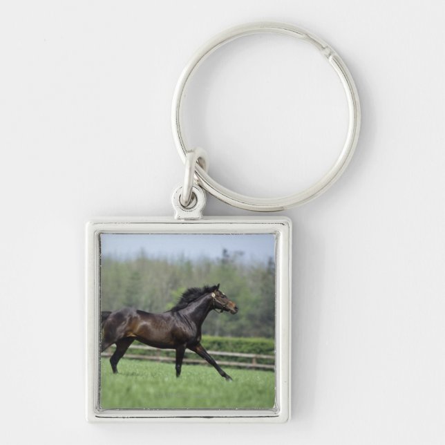 PferdeThoroughbreds, Wassl 1988, Schlüsselanhänger (Vorne)