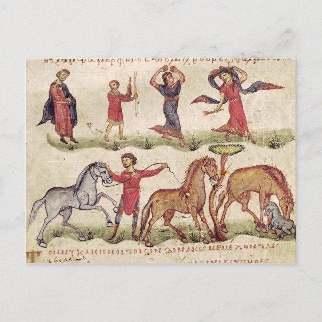 Pferdetrainer Postkarte (Vorderseite)