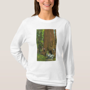 Pferdewagen unter einem riesigen Rotholz T-Shirt