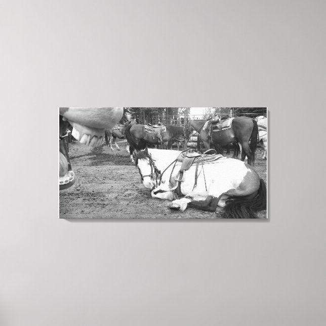 Pferdewall Art Schwarz-Weiß-Foto Leinwanddruck (Vorderseite)