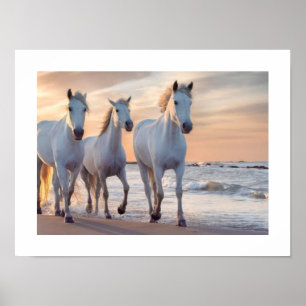 Pferdewanddedekor Poster