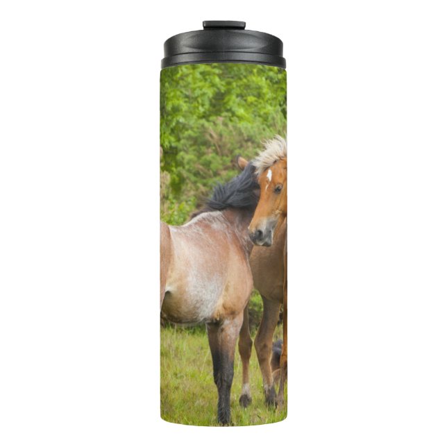 Pferdewäscher Thermosbecher (Vorderseite)