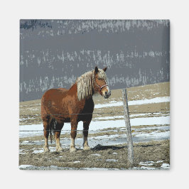 Pferdewechsel in Paddock Magnet
