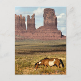 Pferdeweiden, Monument Valley, ABER Postkarte