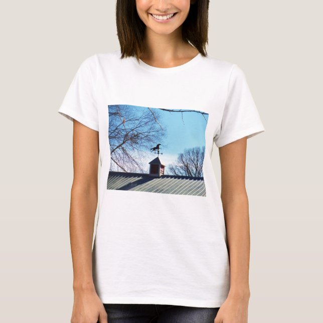 Pferdewetter Vane Blue Sky T-Shirt (Vorderseite)