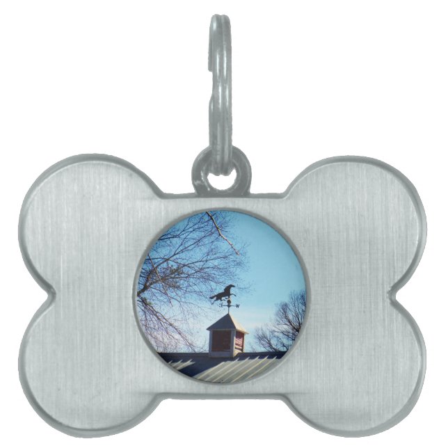 Pferdewetter Vane Blue Sky Tiermarke (Vorderseite)