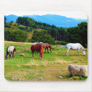 Pferdewild lebende tiere Mousepads