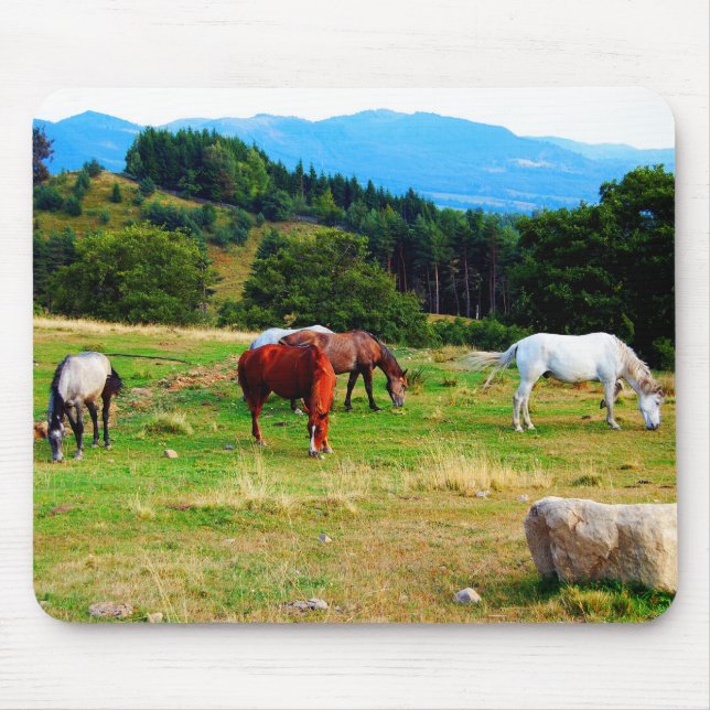Pferdewild lebende tiere Mousepads (Vorne)