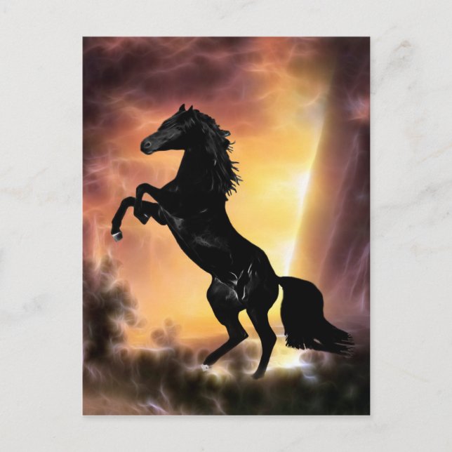 Pferdezucht auf Friesian Stallion Postkarte (Vorderseite)