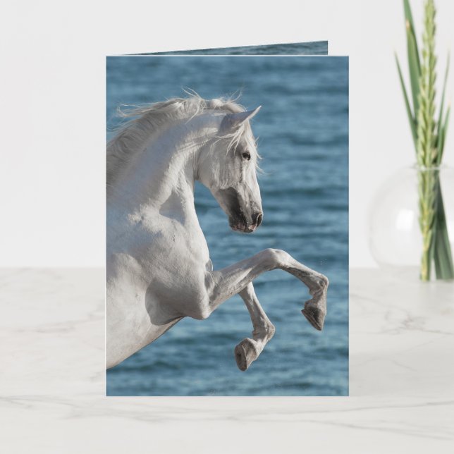 Pferdezucht - Pferdegrüßkarte Karte (Vorderseite)