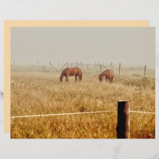 Pferdezucht Rustikaler Braunen Dekoupage (Vorne/Hinten)