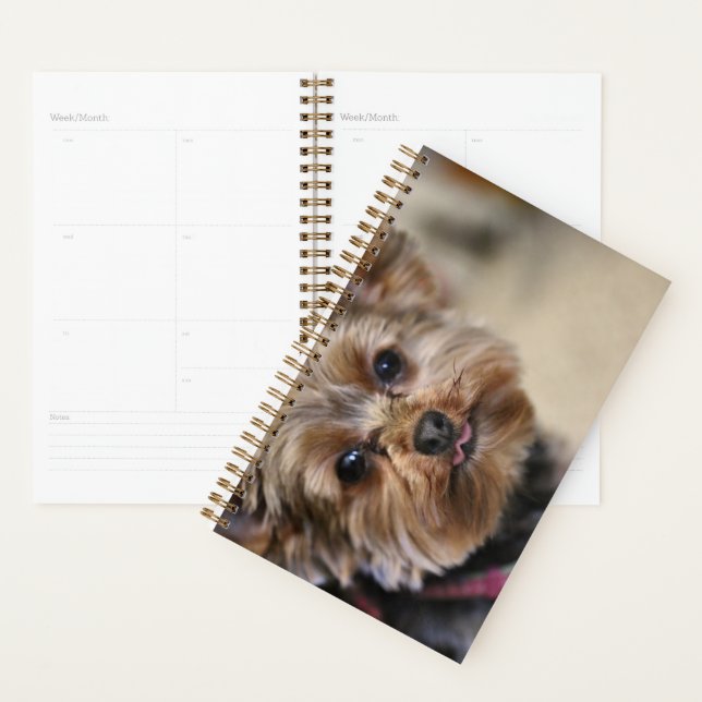 Pfft! Planer (Anzeige)