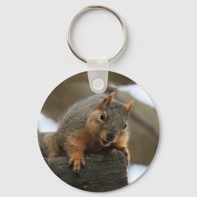 Pfft Schlüsselanhänger (Vorderseite)