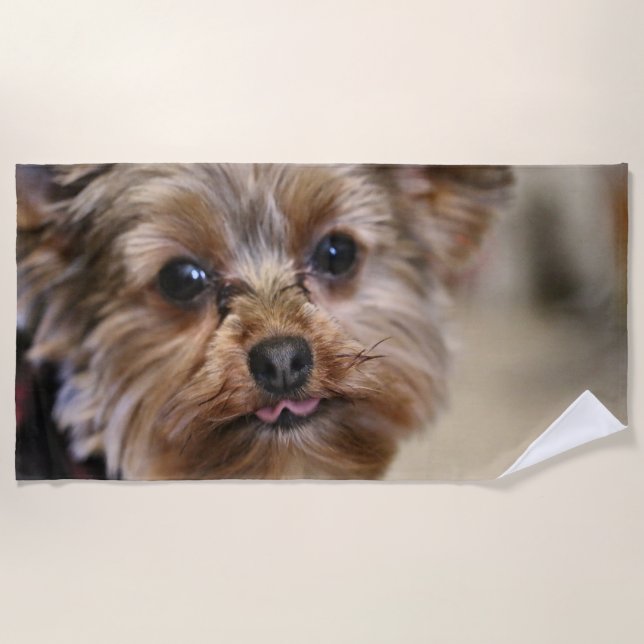 Pfft Strandtuch (Vorderseite)