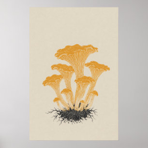 Pfifferling-Pilz-Botanik im Vintage-Stil Poster