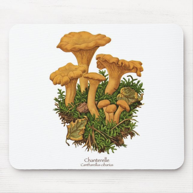 Pfifferlings-Pilz Mousepad (Vorne)