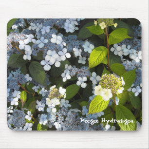Pfingst-Hortensie Mousepad