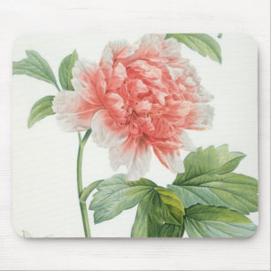 Pfingstrose, 1799 (Farbpunktierungsdruck) Mousepad