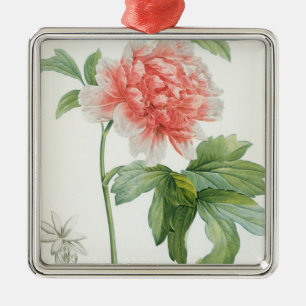 Pfingstrose, 1799 (Farbpunktierungsdruck) Silbernes Ornament